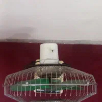 پنکه قدیمی|پنکه و تصفیهکنندهٔ هوا|یزد, |دیوار