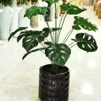 ارزانکده سی توبایکبارخریدمشتری ثابتین