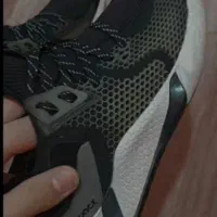 کتونی|کیف، کفش، کمربند|دوگنبدان, |دیوار