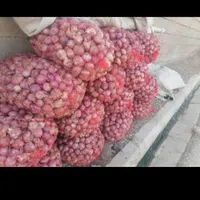 25تور پیاز قرمز صیدون اصل‌کیلوی 15