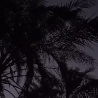 یک عدد ساعت پیدا شده