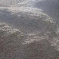 کاه دیم گندم