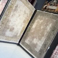 فرش  نهال//تنوع طرح و رنگ