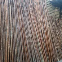 نی بند|لوازم جانبی حیوانات|جوادآباد, |دیوار