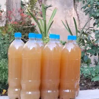 انواع سرکه (سیب ،  انگور ، خرما)