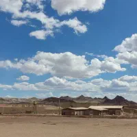 استخدام راننده تریلی