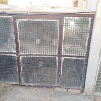 گنجه کفتر