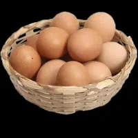 تخم مرغ محلی تحویل درب منزل مخصوص مشتری خاص ۸۰۰۰ ت