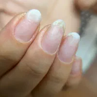 آموزش تخصصی مانیکور روسی و سالنی|خدمات آموزشی|رشت, کاکتوس|دیوار