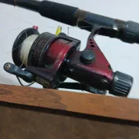 لنسر ماهی گیری