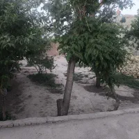 زمین-مسکونی-ویلایی-230-متری-داخل-شهر-آرام
