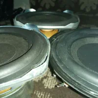 آمپیلی دک آمریکایی باند ساب سینما ضبط