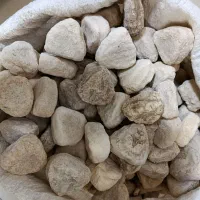 کشک بز دینارکوه