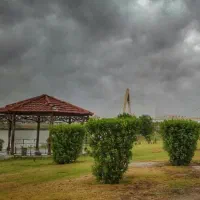 داوطلبان ورزش صبحگاهی برای بانوان در پارک ساحلی