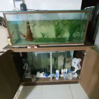 اکواریوم ۱ متری به همراه ماهی گوپی و لوازم