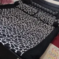 تخت خواب دو نفره|تخت و سرویس خواب|زاهدان, |دیوار