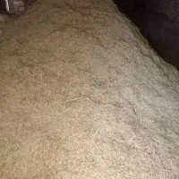یونجه قیمت توافقی