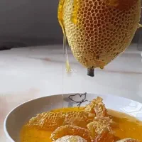 شاخه ای وصخره ای درجه یک|خوردنی و آشامیدنی|اصفهان, شاهزاده ابراهیم|دیوار