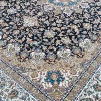 ۲تافرش دستباف گونه ۱۲متری۷۰۰شانه ترا۲۵۵۰