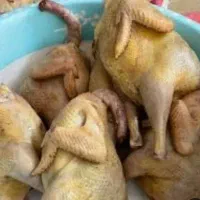 جوجه خروس محلی مرغ بارو محلی اصل