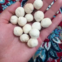 لبنیات گوسفندی کاملا ارگانیک ب شرط