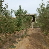 باغچه-450متری