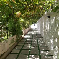 اجاره باغ و ویلا قصردشت|اجارهٔ کوتاه‌مدت ویلا و باغ|شیراز, قصرالدشت|دیوار