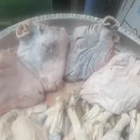 کله پاجه بزغاله و پز و چپش