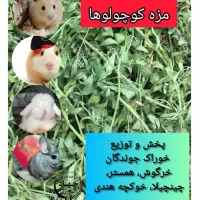 یونجه پرس شده و ریز شده موجود است