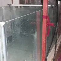 اکواریوم|ماهی|زاهدان, |دیوار