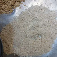 برنج هیر دامن