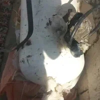 فروش مخزن سی ان جی پرایدباتمام لوازم