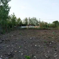 فروش-زمین-مسکونی-در-ماسال-1000-متر-قابل-تفکیک