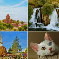 تور همه روزه وان