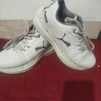 کفشا سالم قابل استفاده|کیف، کفش، کمربند|کرمان, |دیوار