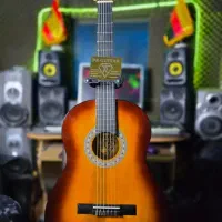 گیتار کلاسیک زیبا حرفه ای به همراه سافت کیس رایگان