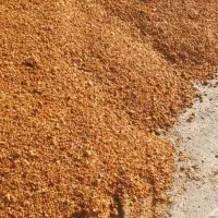 هسته خرما و تفاله،  تفاله سیب ، هسته انار|عمده‌فروشی|نوشین شهر, |دیوار