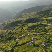 زمینهای تفکیکی در گیلان فرصت ویژه سرمایه گذاری|فروش زمین و ملک کلنگی|برهسر, |دیوار