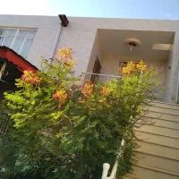 سوئیت ویلایی