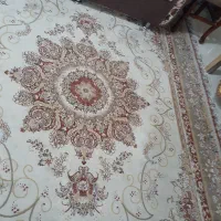 فرش در حد نو