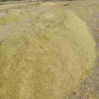 کاه عدس وگوروشنه ونخودتازه سبز