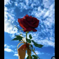 استخدام خانم کار اداری