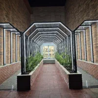 لاین نوری لاینر  ریسه