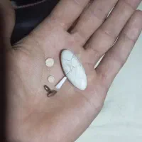 مهره|جواهرات|شیروان (خراسان), |دیوار