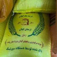 برنج طارم هاشمی گیلان