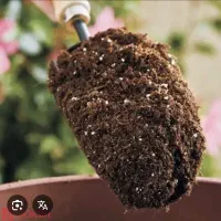 خاک بسته بندی فروش تک و عمده