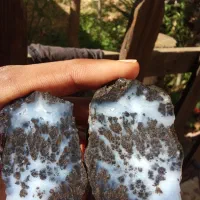 انواع سنگ شجرمشکی خراسان|کلکسیون اشیاء عتیقه|شهرکرد, |دیوار