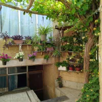 منزل حیاط دارمشین رو