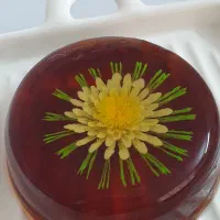 ژله تزریقی تک نفره و چند نفره