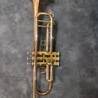 ترومپت سی بمل فونیکس WT02